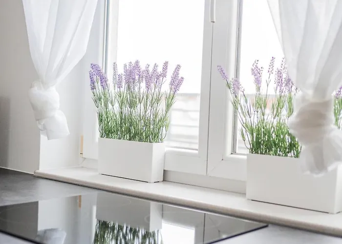 Rooftop View Haven Appartement *